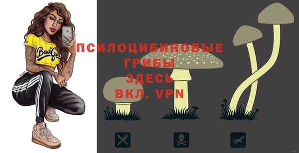 первитин Сафоново