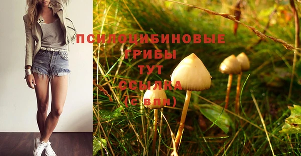 эйфоретик Абдулино