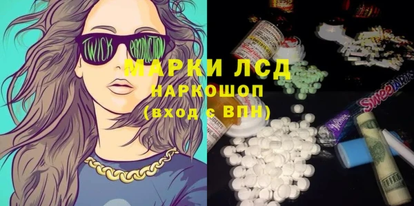 крисы Сатка