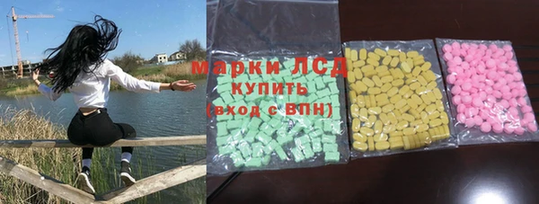 крисы Сатка