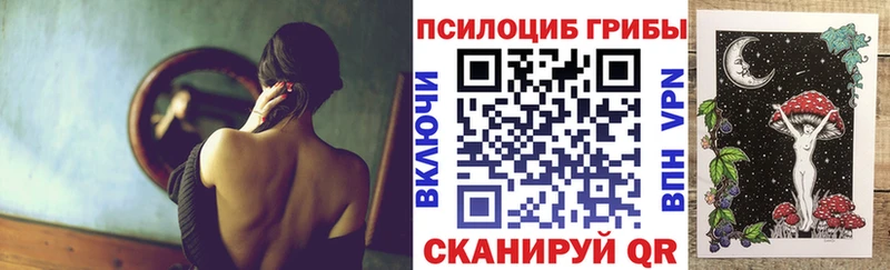 дарк нет клад  Бежецк  Псилоцибиновые грибы Cubensis  наркота 